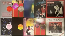 Lot Of 10 Italo Disco Hi Nrg 80’s Disco Dance Vinyl 12” Record Singles