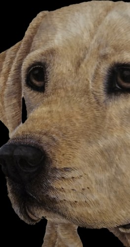 12x8 NEW Yellow Labrador Handpainted Slate Welcome Sign By KimsCrafts - Picture 3 of 3