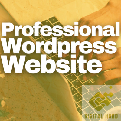 Professional Wordpress Website