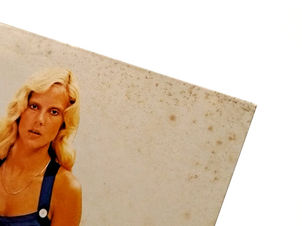 Sylvie Vartan - Toi Mon Aventure LP 1975 JAPAN RCA FRENCH POP JANE BIRKIN w/ obi Foto 3 de 4