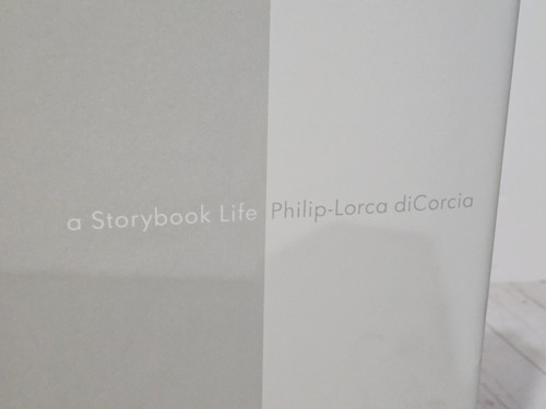 A STORYBOOK LIFE By Philip-lorca Dicorcia Hardcover Limited 3rd Edition Of 2000 - Afbeelding 2 van 18