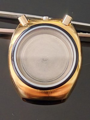 Uhrengehäuse Citizen Bullhead Chronograph
