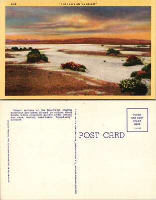 Dry Lake on the Desert Southwest Postcard