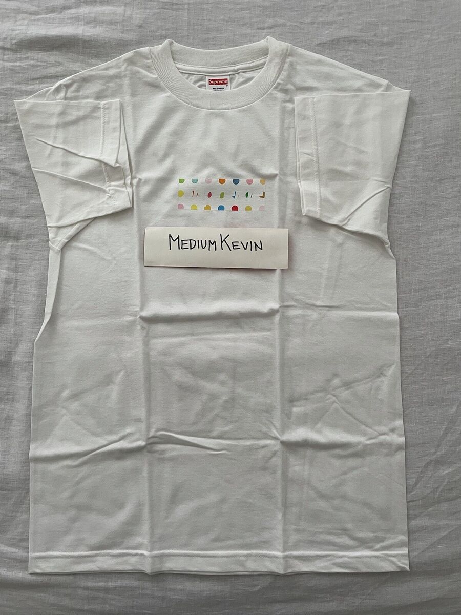 supreme damien hirst box logo tee 極美品-