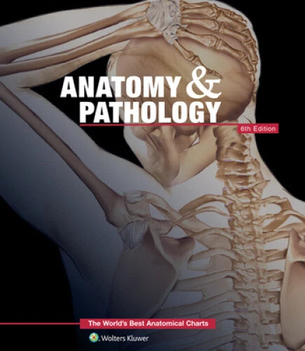 Anatomy & Pathology: The World's Best Anatomical Charts Book (The World's Best - Foto 1 di 2