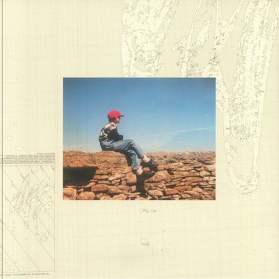 MERLYN DRIVER - It Was Also Sometimes Daylight - Vinyl (gatefold 2xLP)