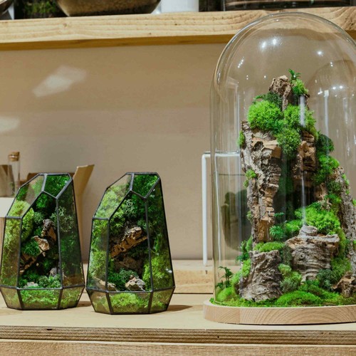Large Handmade Terrarium with Cloche Glass and Wooden Base Mountain Preserved Te - Picture 12 of 14
