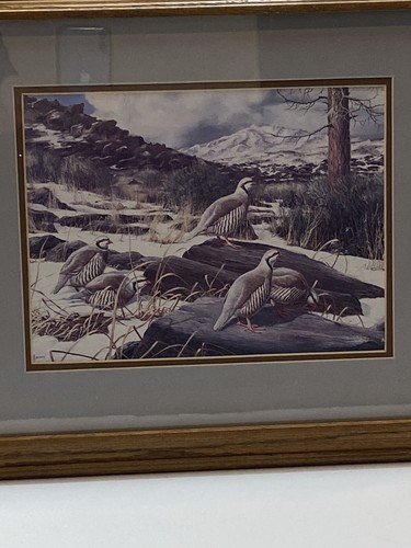 DAVID MAASS Partridge Print Wood Framed Dimensions 17.5" x 15" Wildlife Game Art - Picture 8 of 8