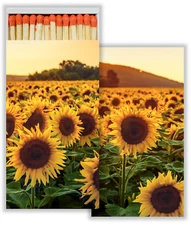 Sunflower Field Set of 3 Large Matchboxes with Wooden Matches