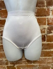 Breezies White Nylon Microfiber Brief Panties New
