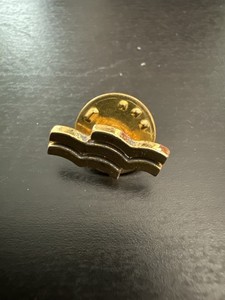 1980s Royal Rangers Good Wave Pin Assemblies Of God Youth Award Lapel Badge