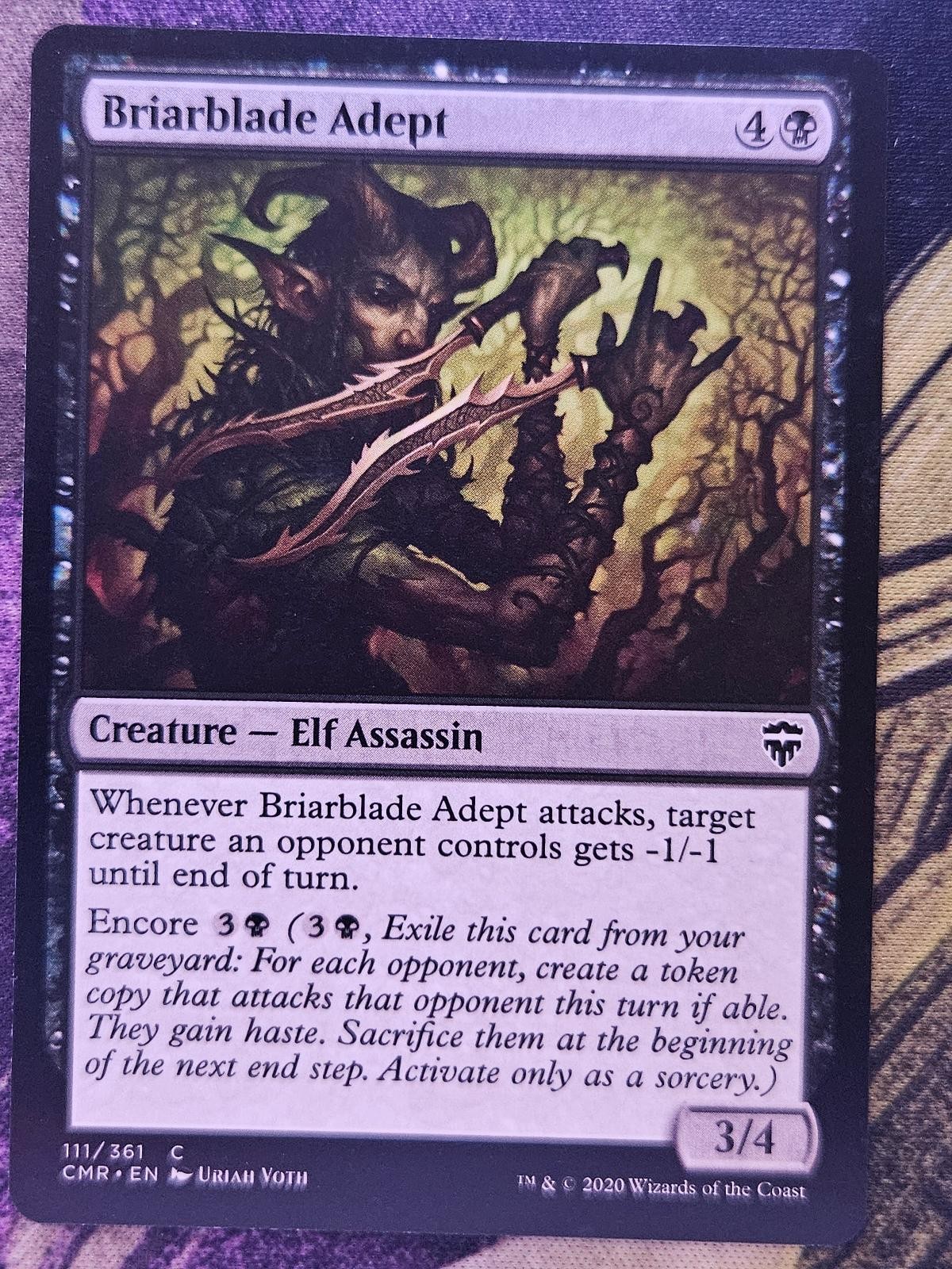 Briarblade Adept 111 Common Commander Legends Magic: The Gathering LP