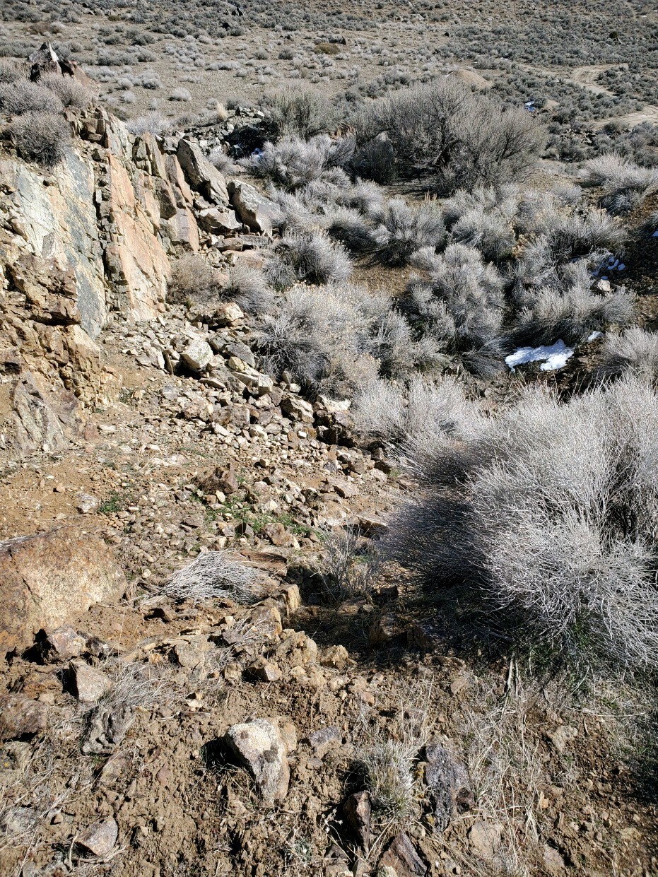 Steiner Mine near Lovelock Nevada Silver Gold Mining Claim with Big