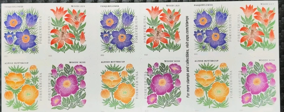 US Stamps 2022 Mountain Flora 10 Sheets of 20 / A total of 200 - Image 2 of 2