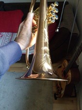 Lechgold FH-60G Flügelhorn Bügelhorn Mundstück mit Leichtkoffer