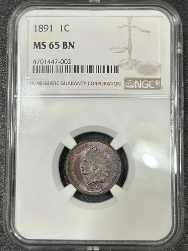 1891 1C NGC MS65 BN Indian Cent - Gem Uncirculated, Attractive Toning