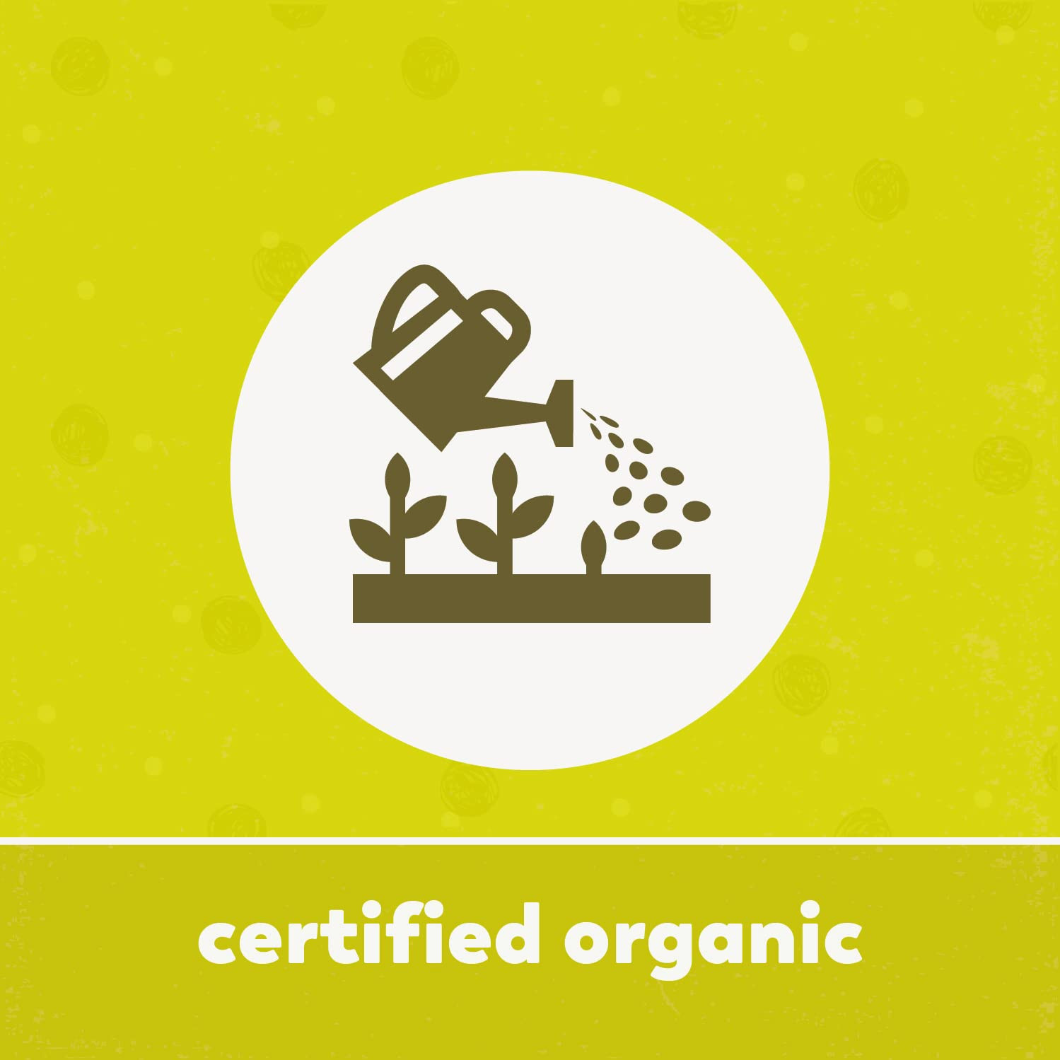 Organic Coconut Palm Sugar 2.2 Lb (35.2 Oz), USDA Certified, Non-Gmo, Vegan, Glu