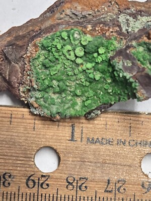 Beautiful Conichalcite specimen