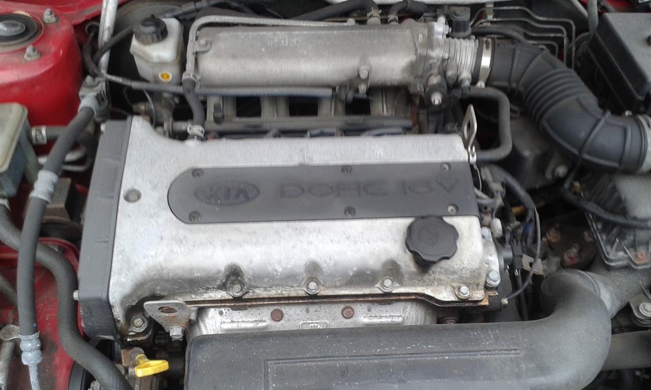 Picture 8 of 8
