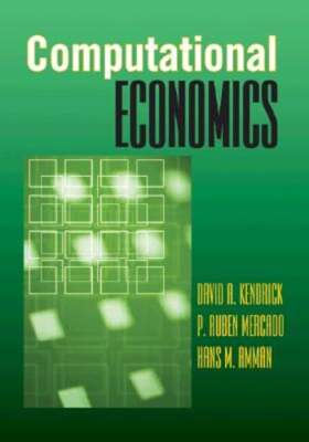 Computational Economics by David A Kendrick: Used