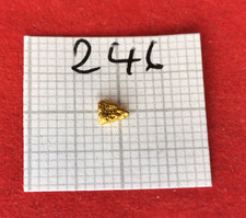 #246 Real Gold Nugget Alaska Yukon Gold Nugget .096 Grams Zoto Nuggets Coin