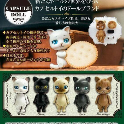 CAPSULE DOLL VOL.1 Figure Complete set 5 Capsule Toy JAPAN