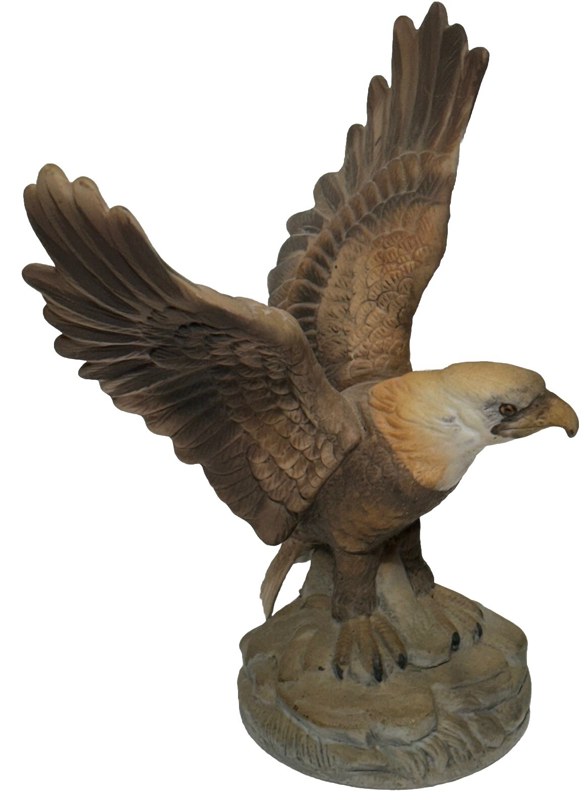 Picture 4 of 9