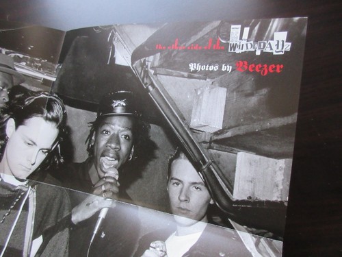 Wild Dayz Beezer Japan Book w DVD Folded Poster Massive Attack Pulp Mark Stewart - Picture 14 of 24
