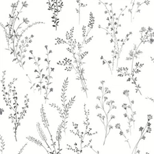 York Wallcoverings FH4026 Wildflower Sprigs Wallpaper Black/White