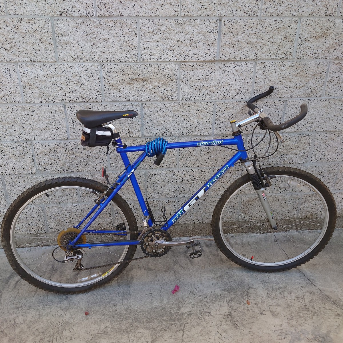 GT All Terra Ricochet Mountain Bike 22