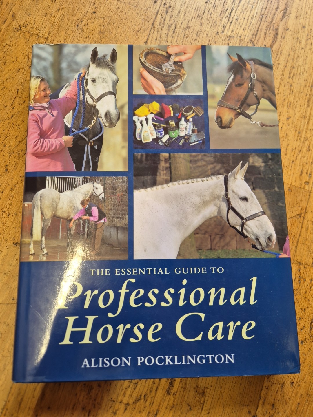 The Essential Guide to Professional Horse Care Groom Grooming horses equestrian