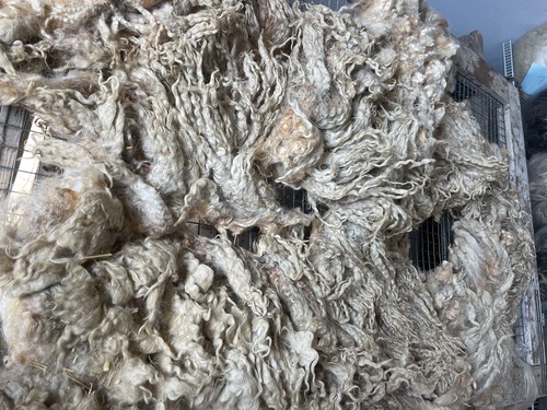 SALE 6.5+lbs Lincoln Fleece fiber spinning locks prim doll hair sheep raw wool