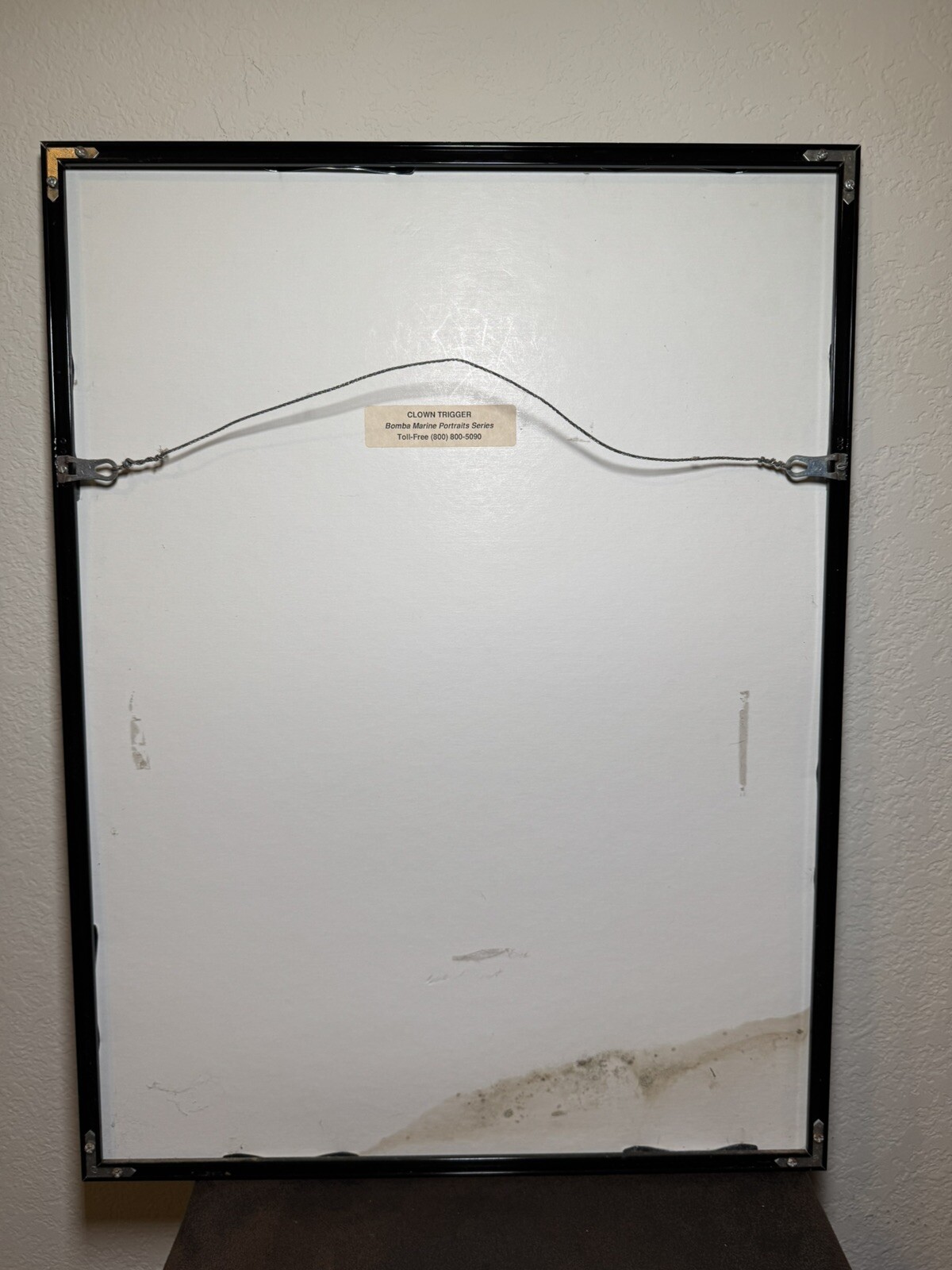 Picture 5 of 6