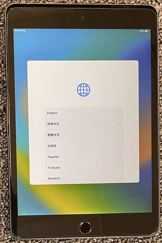 Apple iPad Mini (5th Generation) 64GB, Wi-Fi + 4G (Unlocked), Space Gray *USED - Afbeelding 3 van 3