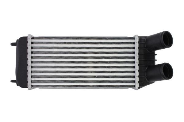 Thermotec LadeluftküHler DAP006TT FüR CitroËN Passend FüR Fiat Lancia-image