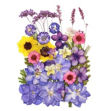 29pcs Dried Pressed Flowers for Crafts Resin DIY Art Natural Dry Floral Pansy...