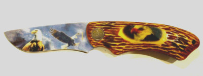 Eagle Knife - Wild Outdoors- Fixed Blade American Bald Eagle painting artwork