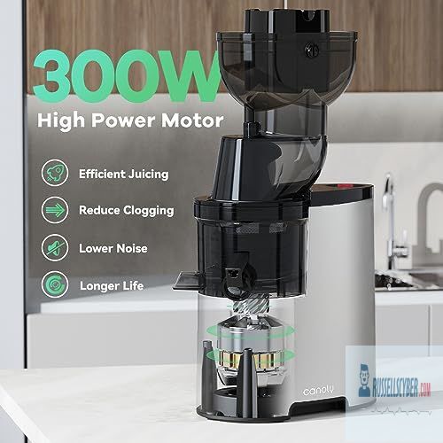 Masticating Juicer, 300W Professional Slow Juicer eBay