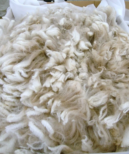3 Pounds Llama Wool! Free Shipping. Fine fiber. Sustainable, Natural And Organic - Image 2 of 4