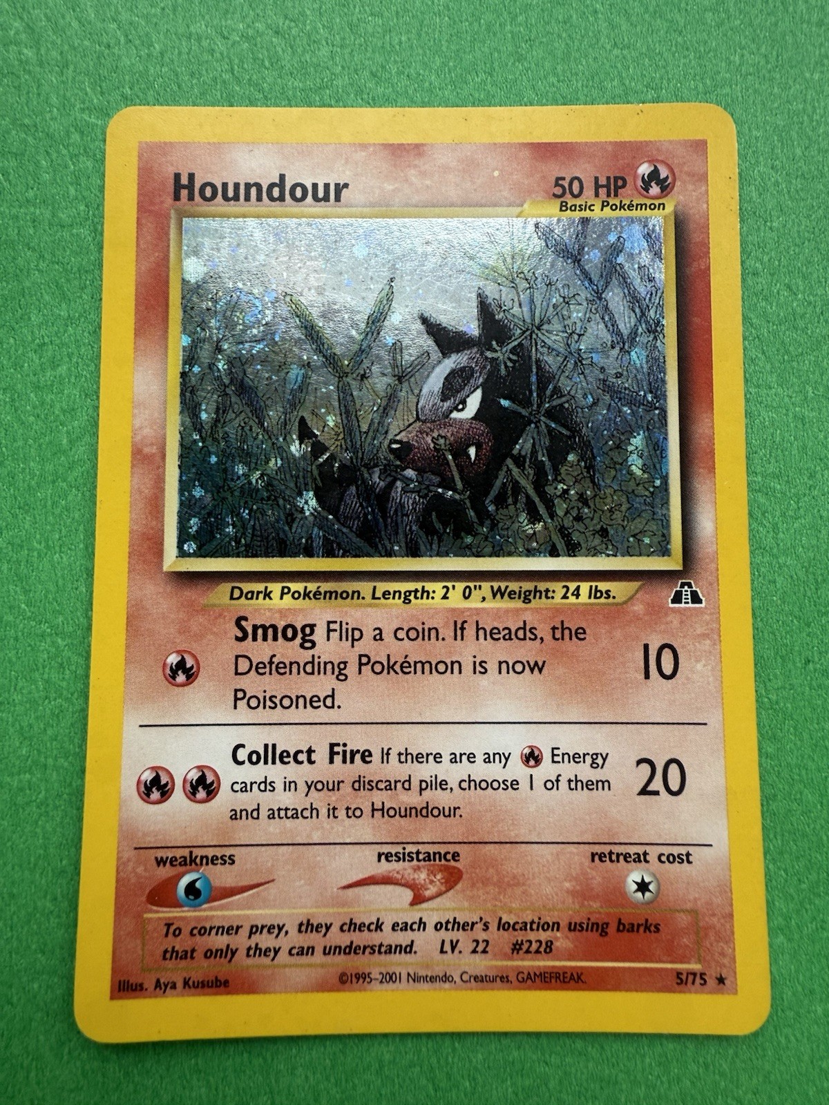 2001 Pokemon #5/75 Houndour (Neo Discovery) Holo - unlimited NM