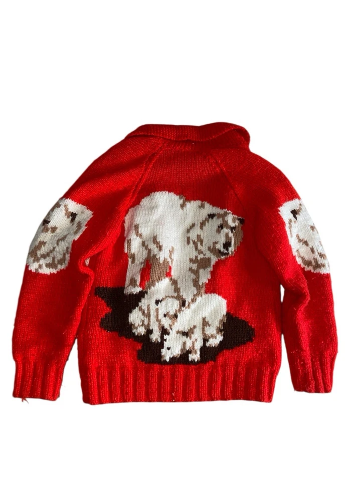 Cárdigan Suéter Vintage Cowichan Mujer Pequeño Años 70 Grueso Tejido a Mano Mantón Oso Polar Foto 2 de 4