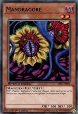 Yu-Gi-Oh: Mandrake | SBSC-FR001 | Commune | NM | FR