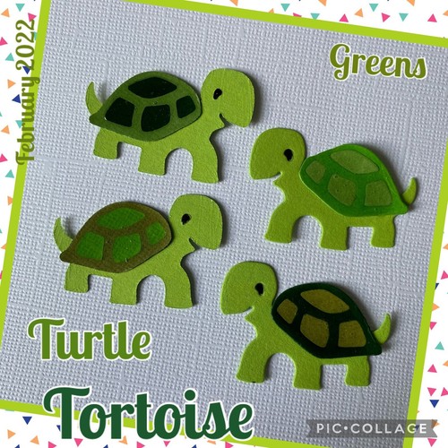 Tortugas tortuga animal mascota mascotas zoológico jardines bebé troquelados - Imagen 3 de 15