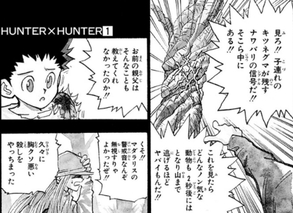 Hunter x Hunter Manga Panel  Manga covers, Hunter anime, Manga pages