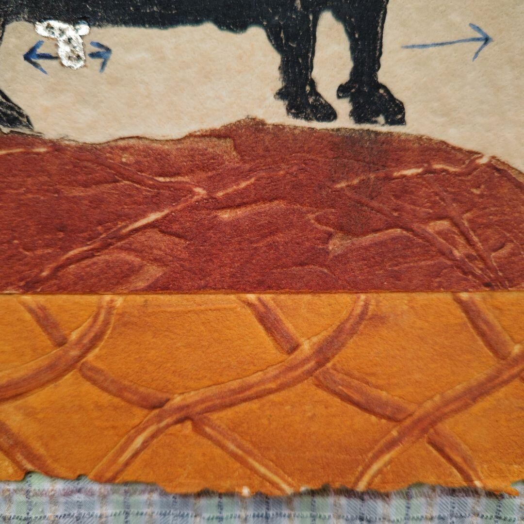 Picture 7 of 7