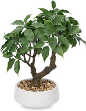Artificial Bonsai Tree, Small Ficus Bonsai Tree 13" Indoor Bonsai Tree