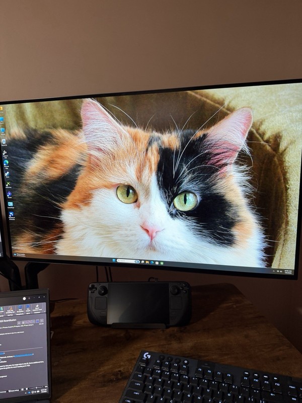 LG UltraGear 32" OLED Dual Mode 4K UHD 240Hz FHD 480Hz 32GS95UE-B.AUS