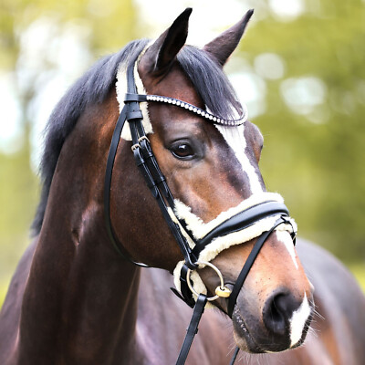 Kavalkade Trense ''JOYCE'' schwedisch-kombiniert Lammfell, schwarz Warmblut