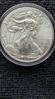 2020 Silver American Eagle $1  In Capsule