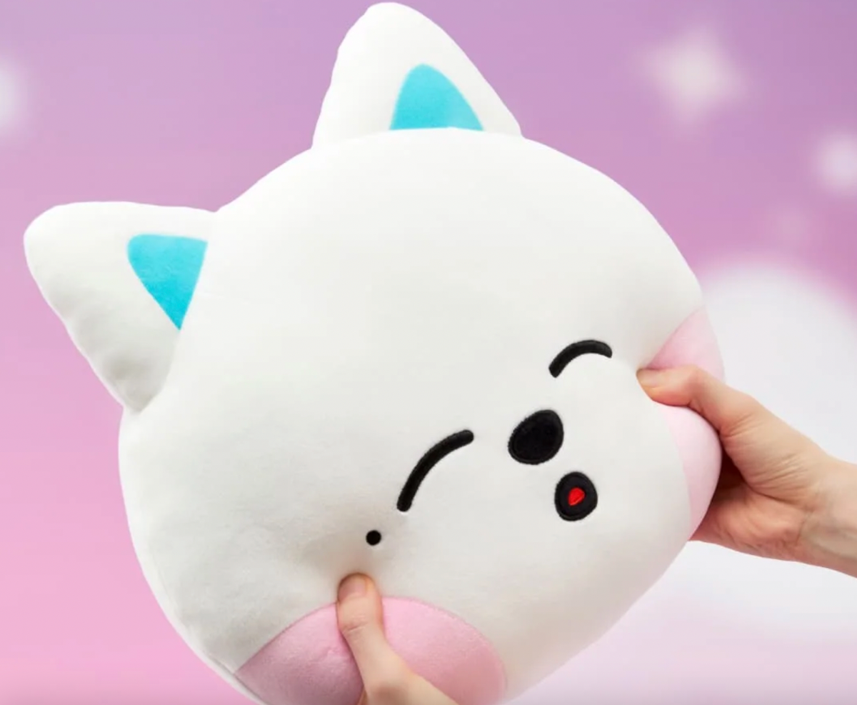 NCT DREAM DREAMIEZ FACE CUSHION Photocard with LINE FRIENDS +